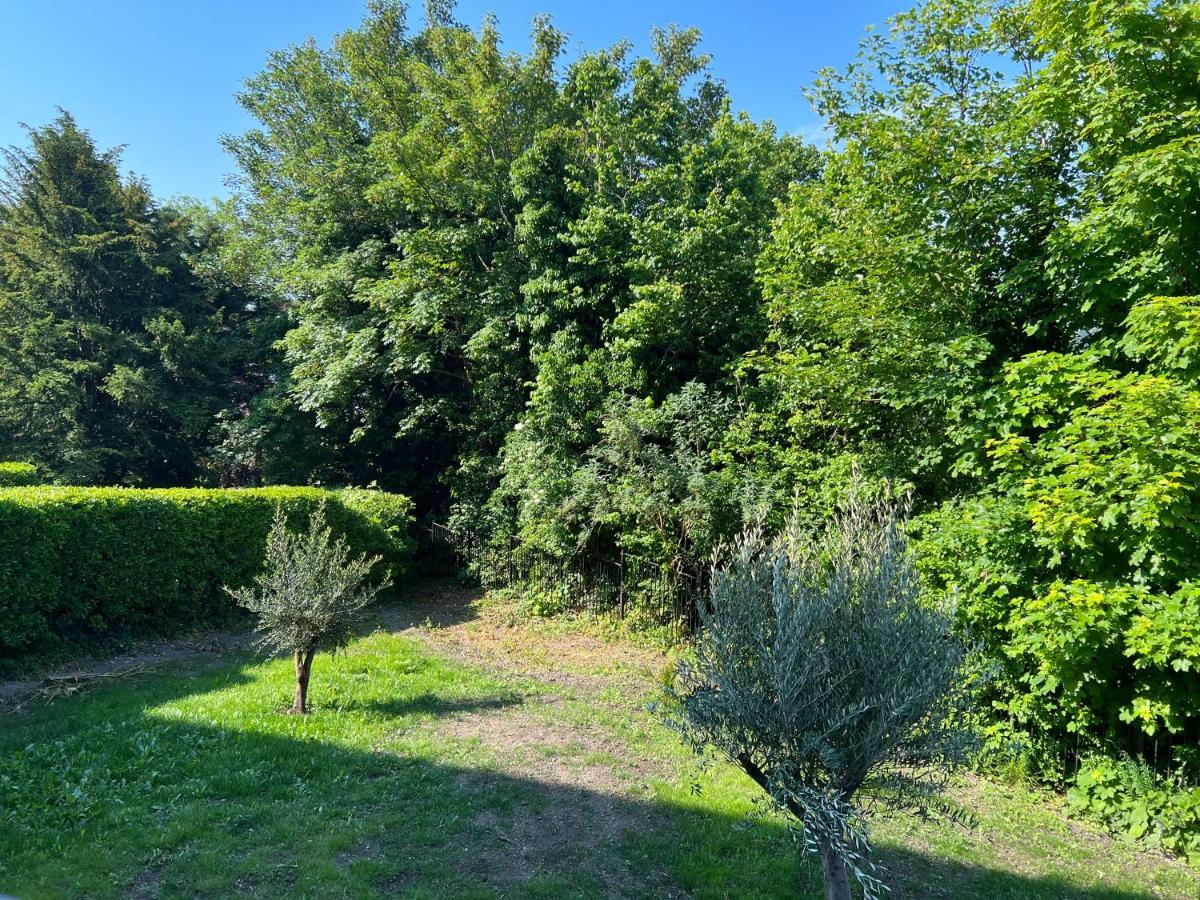 Luxury Garden Apartment Under The Castle, Dover Eksteriør bilde
